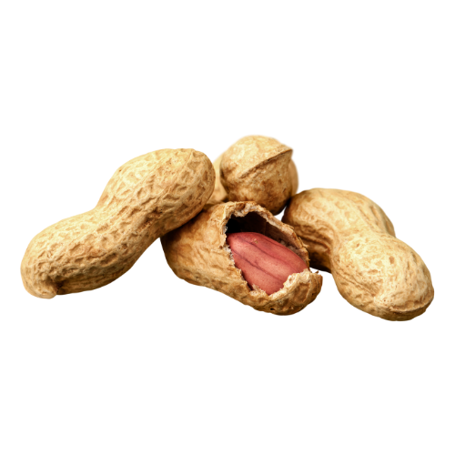Fresh Peanuts (250g)