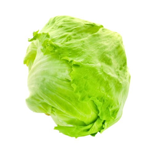 Iceberg Lettuce 1Pc