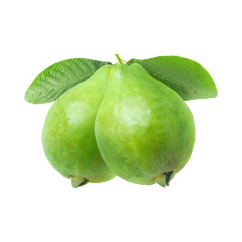 Egyptian Guava 1Pc (Approx 70g to 100g)