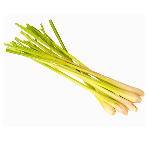 Lemon Grass (Bunch)